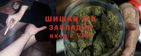 молекула духа Бронницы