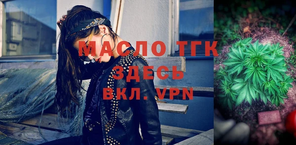 2c-b Бородино