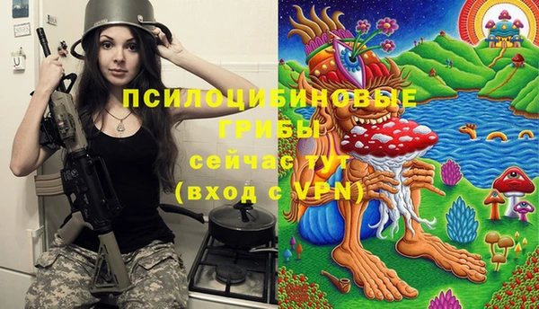 2c-b Бородино