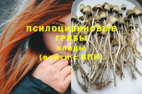 молекула духа Бронницы