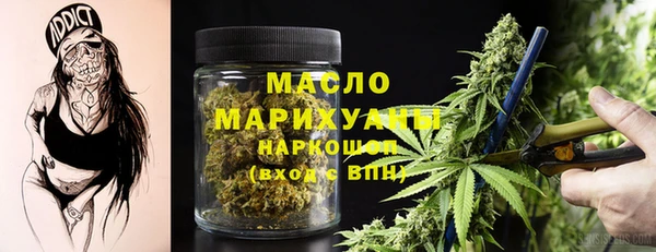 2c-b Бородино