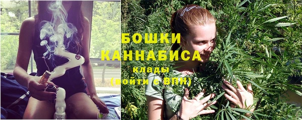 молекула духа Бронницы