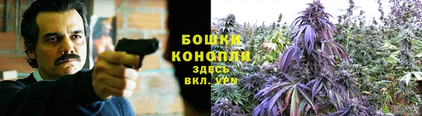 2c-b Бородино